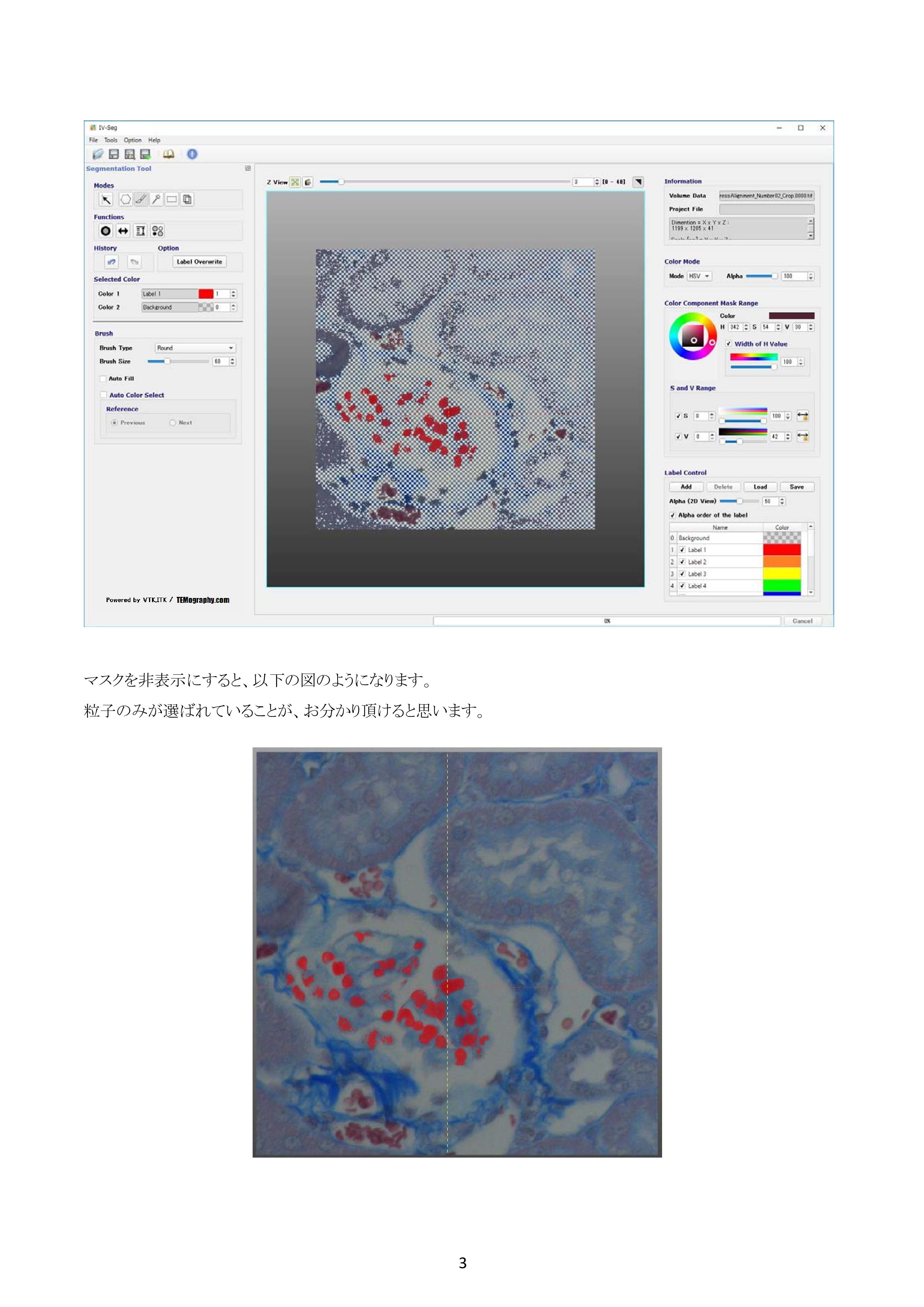 IV-Seg_Segmentation02-2.png