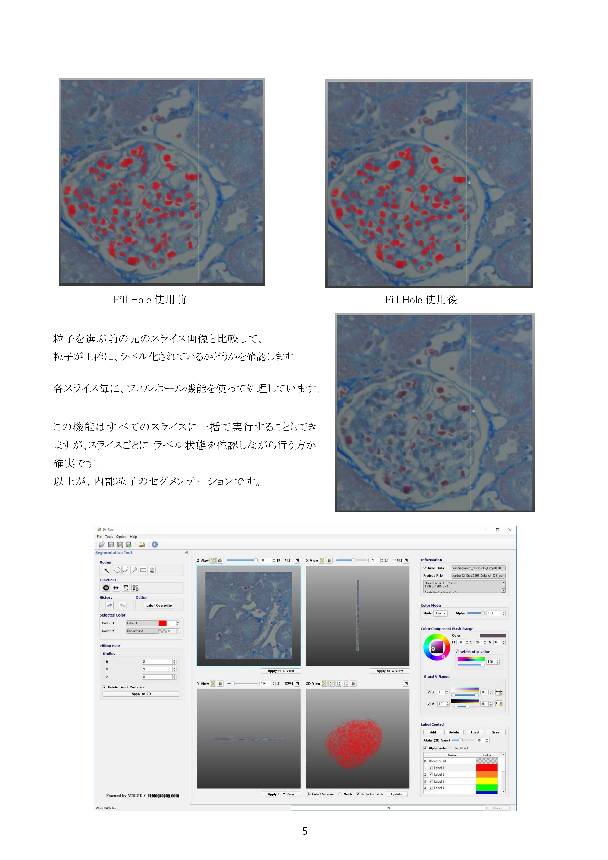 IV-Seg_Segmentation02-4.png